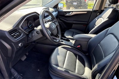 2021 Ford Escape Hybrid SEL